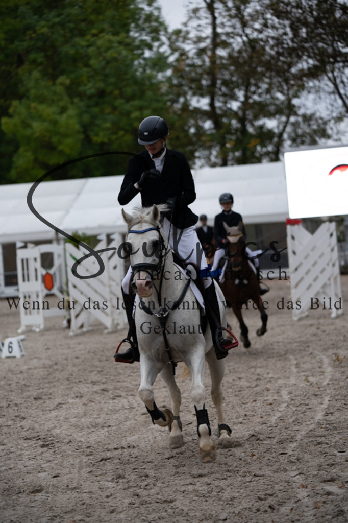 A7V00194 | Pferdefotograf