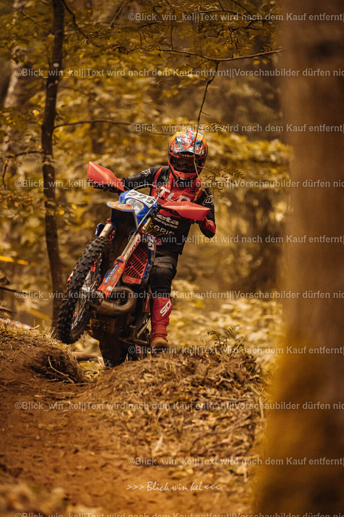 E68A5291 | blick_win_kel