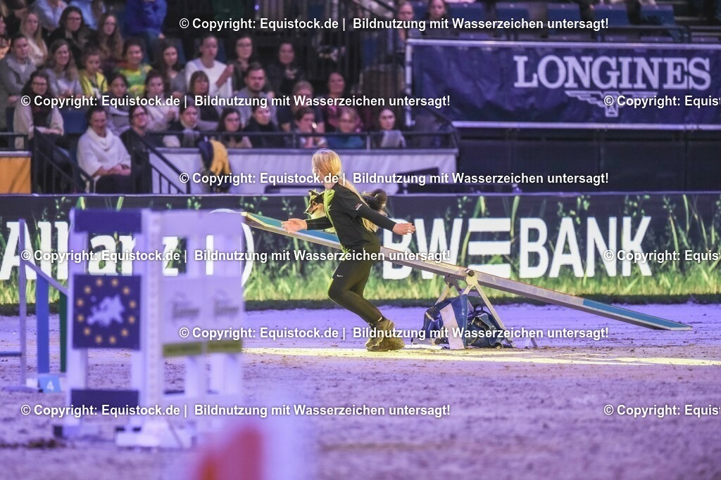 20231115_Dog-Agility_0199_TOMsPiC | Foto: Thomas Hartig