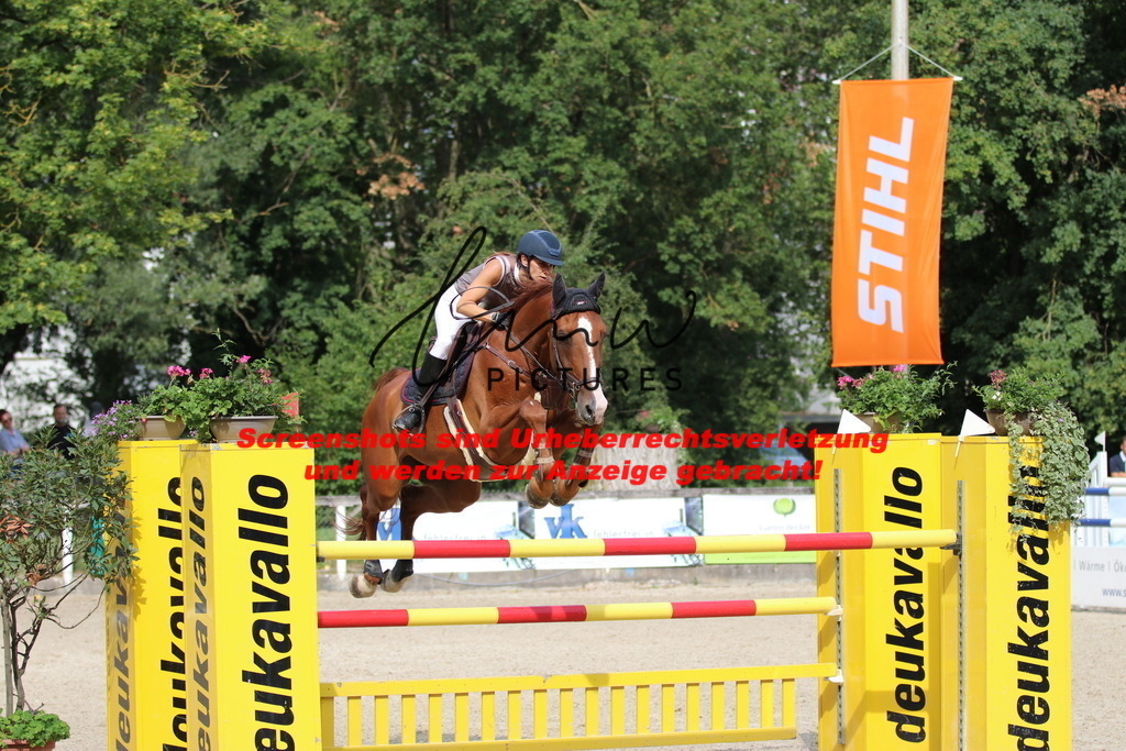 IMG_0753 | lmwpictures - Realisiert mit Pictrs.com