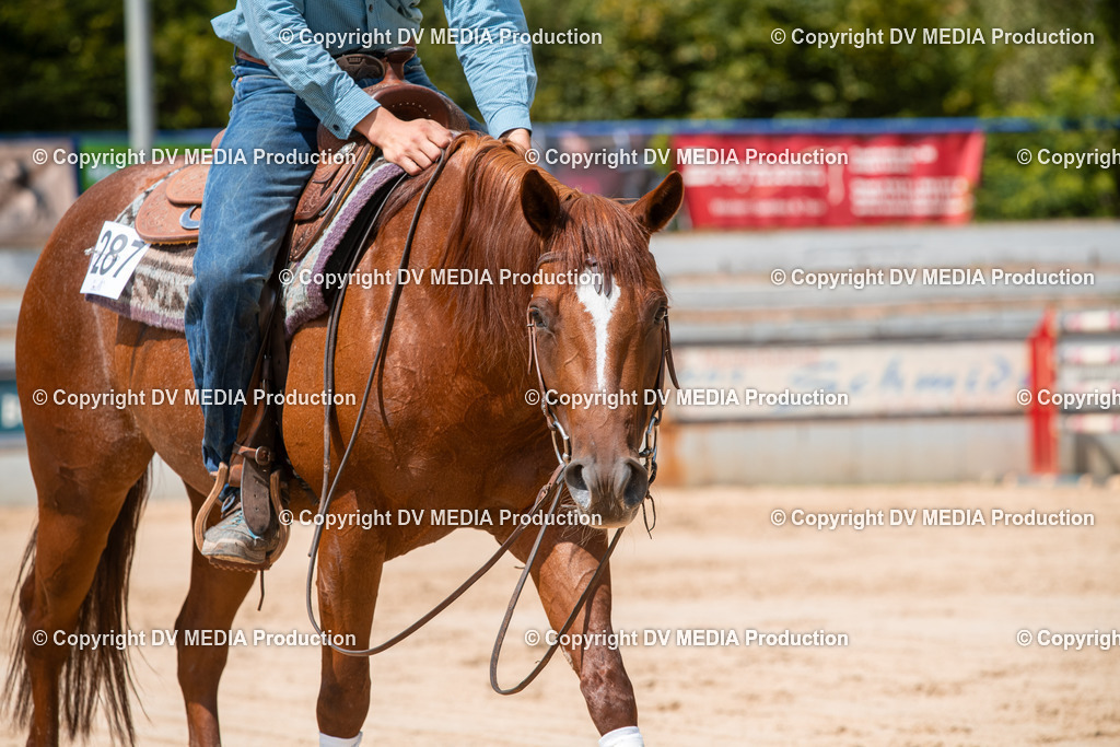 ZS3_9633 | dv-media-shop - Realisiert mit Pictrs.com