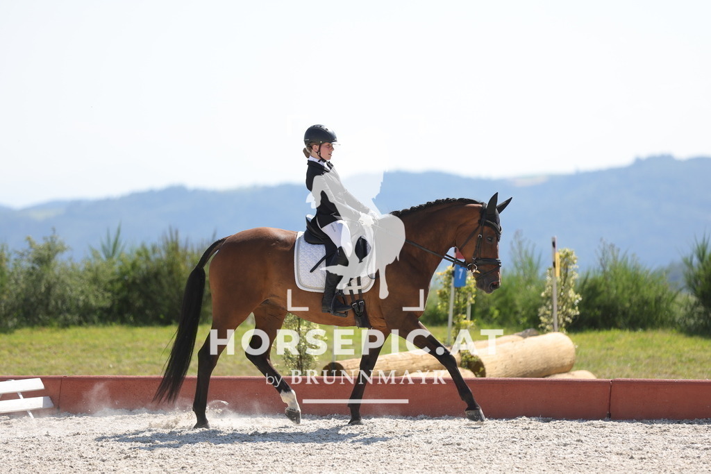 0P6A7679 | Willkommen bei Brunnmayr - Design & Fotografie – Ihrem Spezialisten für Reitturniere und Pferdeveranstaltungen in Oberösterreich, Salzburg und Bayern! Seit über 17 Jahren sind wir leidenschaftlich dabei.