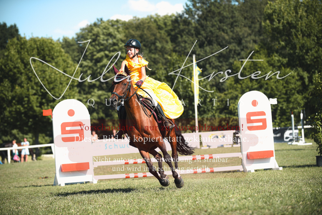 DSC_7526 | Pferde- und Turnierfotografie in Westsachsen. Pferdeportraits, Auftragszeichnungen und intuitive Kunst.