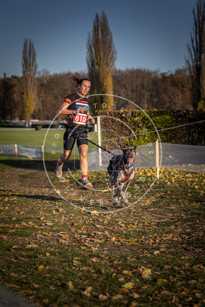 CaniXpix_DV3A3030 | Hundefotografie, Tierfotograf, Pfotenfotografie, Fotoshooting Hund, Hunde Portrait, Hundesport, Hundeportraits, Heideshooting, Hunde, Sportfotograf, Hundefotograf, Turnierhundsport, THS,  - Realisiert mit Pictrs.com