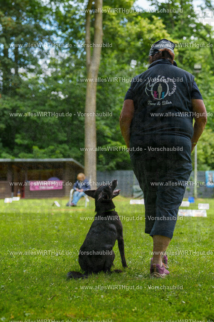 @allesWIRTHgut_Tierfotografie - www.allesWIRTHgut.de - 124411-7R509388 | Professionelle Tierfotografie in Mönchengladbach von Daniel Wirth (allesWIRTHgut). Liebevolle & natürliche Bilder von Hunden & Katzen für unvergessliche Erinnerungen.