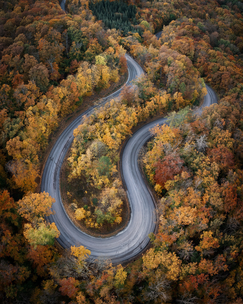 Kurve im Herbst | Kurve schlängelt sich durch den Herbstwald des Harzgebirges. 