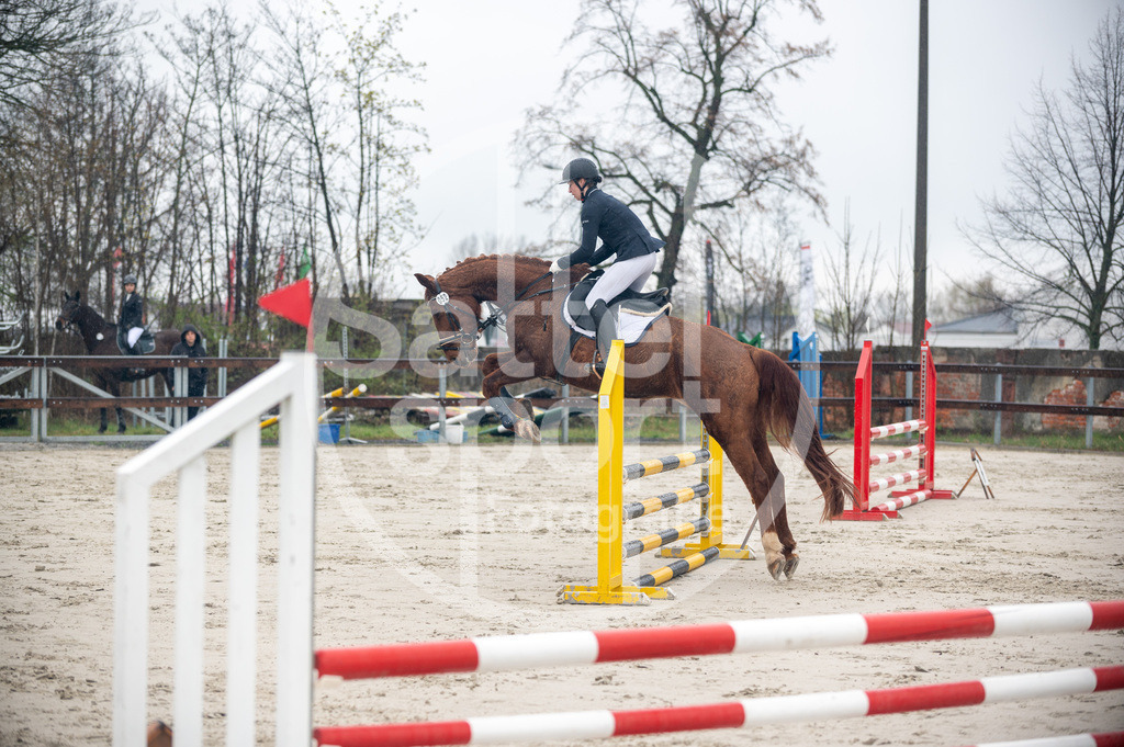 DSC_8495 | sattelsport - Realisiert mit Pictrs.com