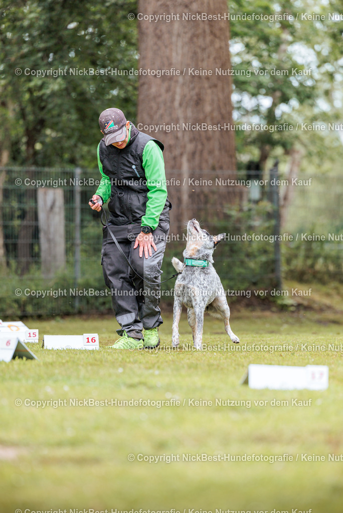 RO-Blumenthal-2026-Nickbest-Hundefotografie-5421 | Dein Hund! Dein Moment! Deine Erinnerungen! Hundefotografie in Bremen Blumenthal. Ich fange die besonderen Momente deines Vierbeiners ein – ob Indoor mit Blitzanlage oder in der freien Natur. Sicher dir dein Moment und dein Termin für eure Erinnerungen.