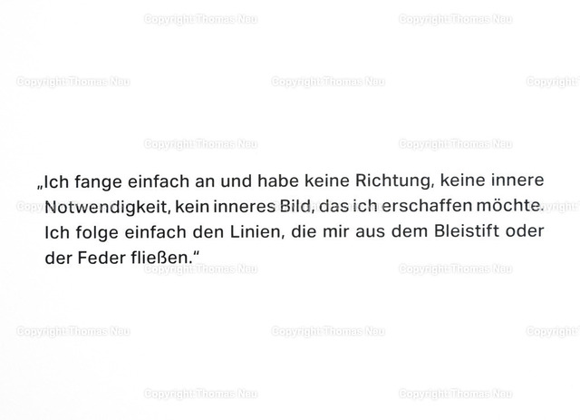 DSC_2449 |  Museum Bensheim, Ausstellung Neo Rauch "im Papiergrund",  Bild: Thomas Neu