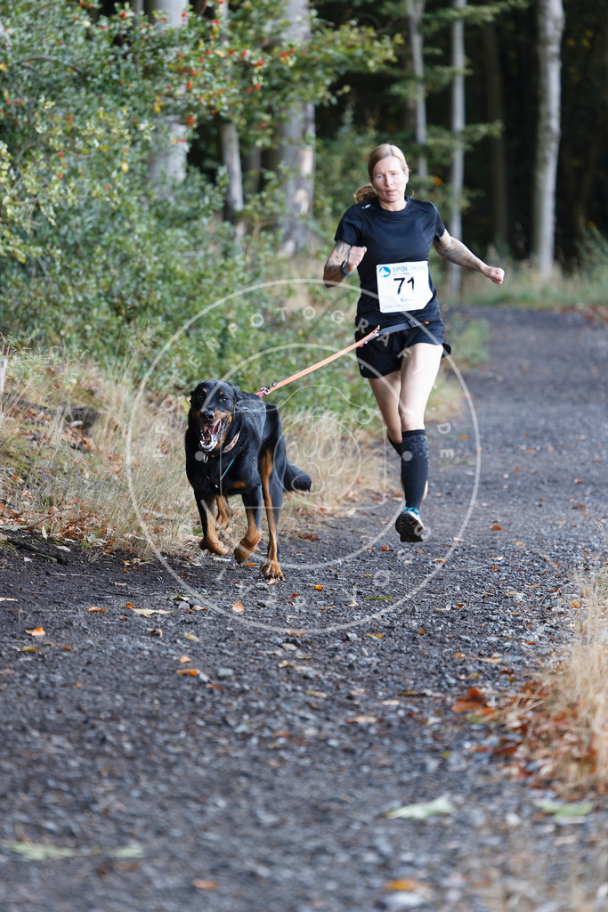 0L8A1971 | Hundefotografie, Tierfotograf, Pfotenfotografie, Fotoshooting Hund, Hunde Portrait, Hundesport, Hundeportraits, Heideshooting, Hunde, Sportfotograf, Hundefotograf, Turnierhundsport, THS,  - Realisiert mit Pictrs.com