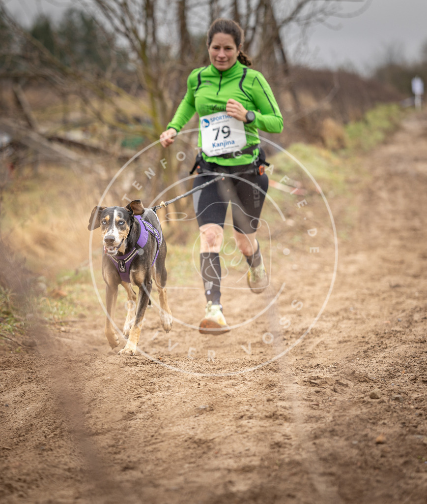 DV3A9846 | Hundefotografie, Tierfotograf, Pfotenfotografie, Fotoshooting Hund, Hunde Portrait, Hundesport, Hundeportraits, Heideshooting, Hunde, Sportfotograf, Hundefotograf, Turnierhundsport, THS,  - Realisiert mit Pictrs.com