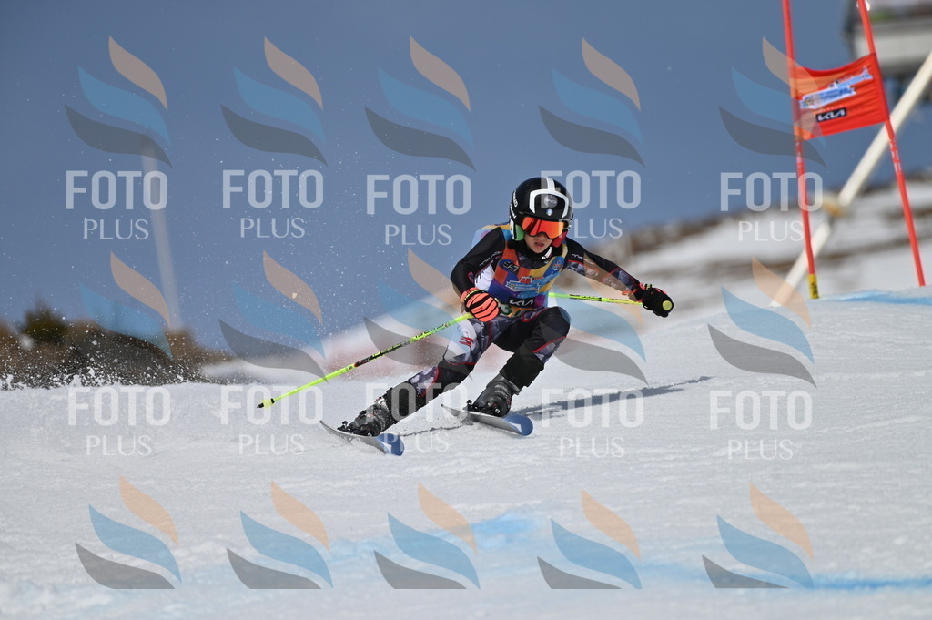 BGV_7365 | holidayphoto