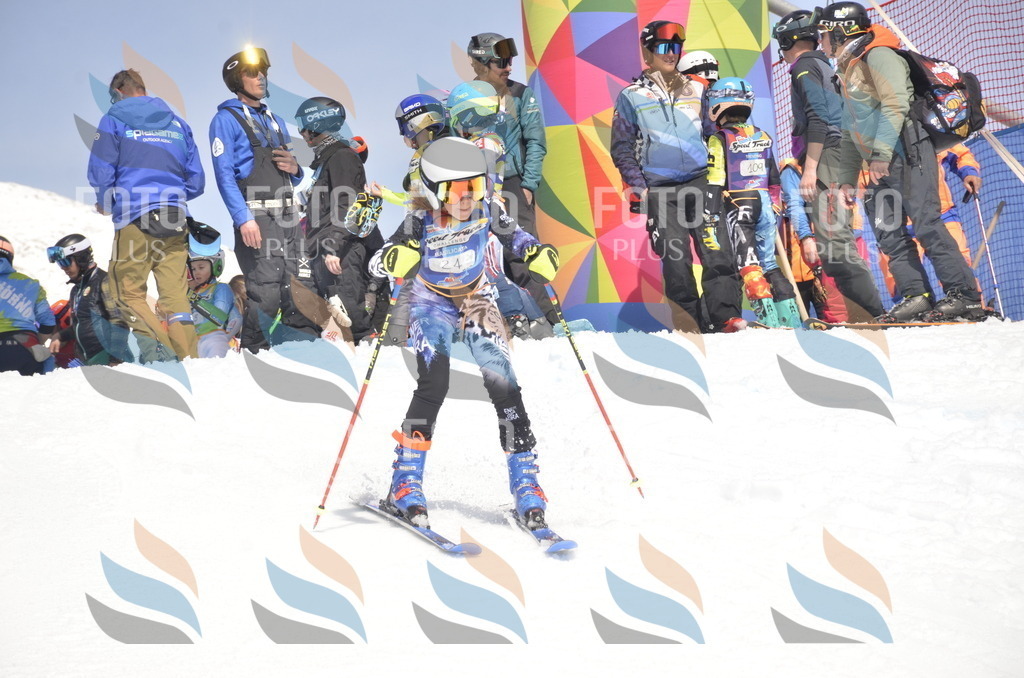 _ELE9060 | holidayphoto