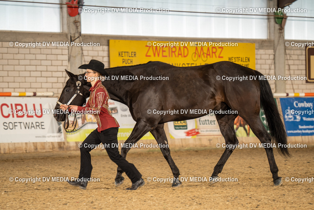 Zeiskam Tag 1-252 | dv-media-shop - Realisiert mit Pictrs.com