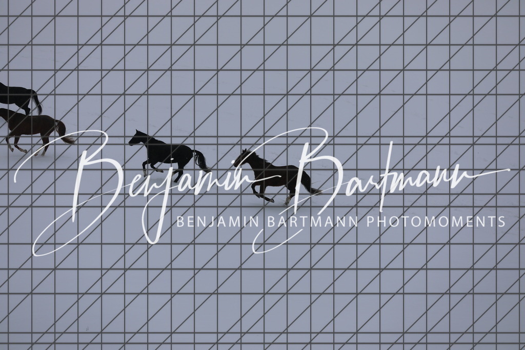 AZ2A3419 | Benjamin Bartmann Photomoments