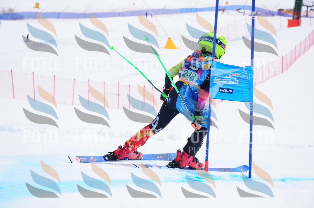 DSC_2341 | holidayphoto