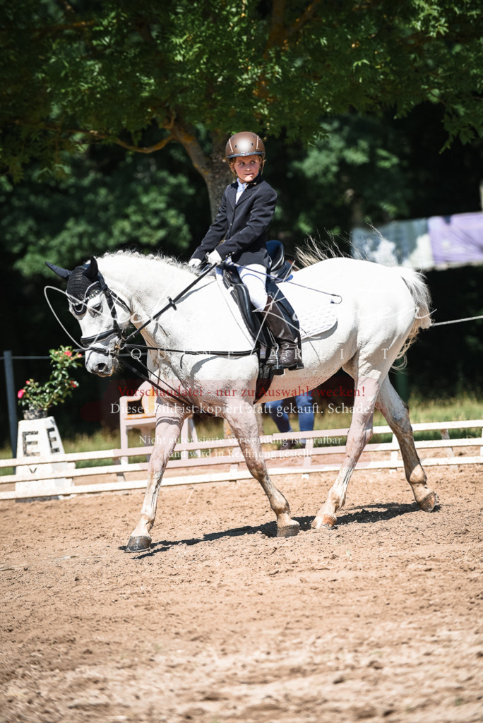 DSC_3621 | Pferde- und Turnierfotografie in Westsachsen. Pferdeportraits, Auftragszeichnungen und intuitive Kunst.