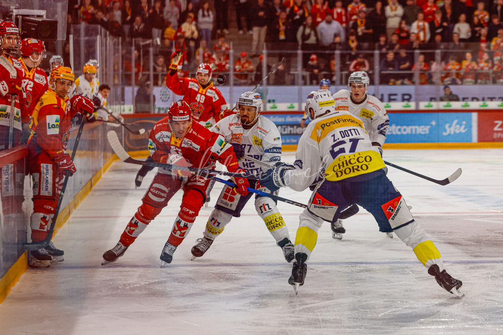 EHCB vs HCAP 20260115_wb-4174 | Sportbilder, Sportfotograf, Hochzeits- und Eventfotografin, Flugshows, Portraits und Tiershooting, Aviation, Downhill, Nationalleague, Swissleague, International