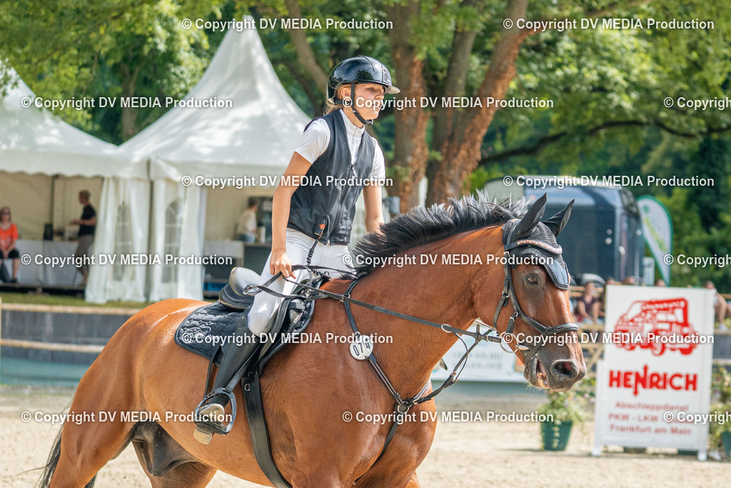 Hessische Tag 3-185 | dv-media-shop - Realisiert mit Pictrs.com