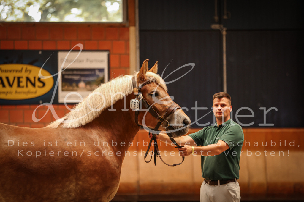 SaFL00406 | Leoni Ertmer Photography - Realisiert mit Pictrs.com