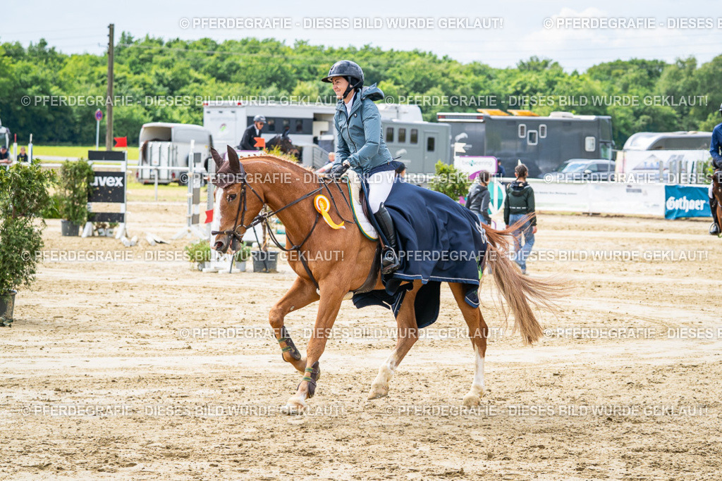 DSC06387 | Pferdegrafie