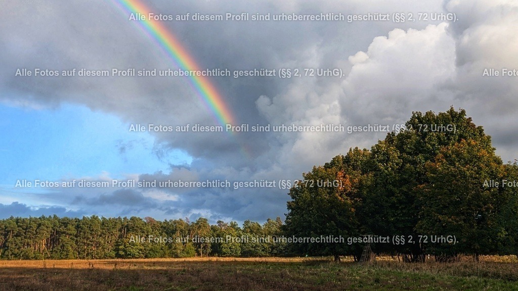 PXL_20241010_151152020 | krollfotografie - Realisiert mit Pictrs.com