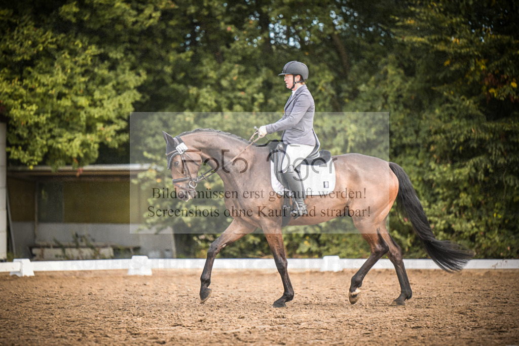 DOS_1262 | Entdecke hochwertige Reitturnierfotos von Foto Oger. Professionell, emotional und authentisch – jetzt Lieblingsmomente im Shop bestellen.Deutschlandweite Turnierfotografie. - Realisiert mit Pictrs.com