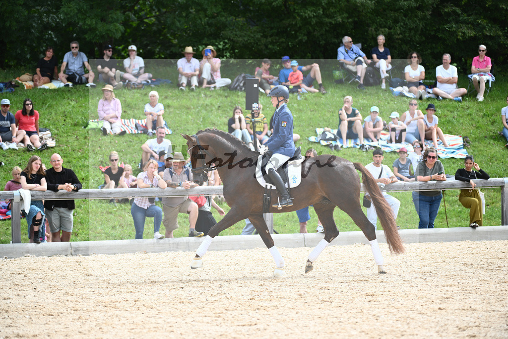 Hengste im Sport_36240167 | hf-fotografie - Realisiert mit Pictrs.com