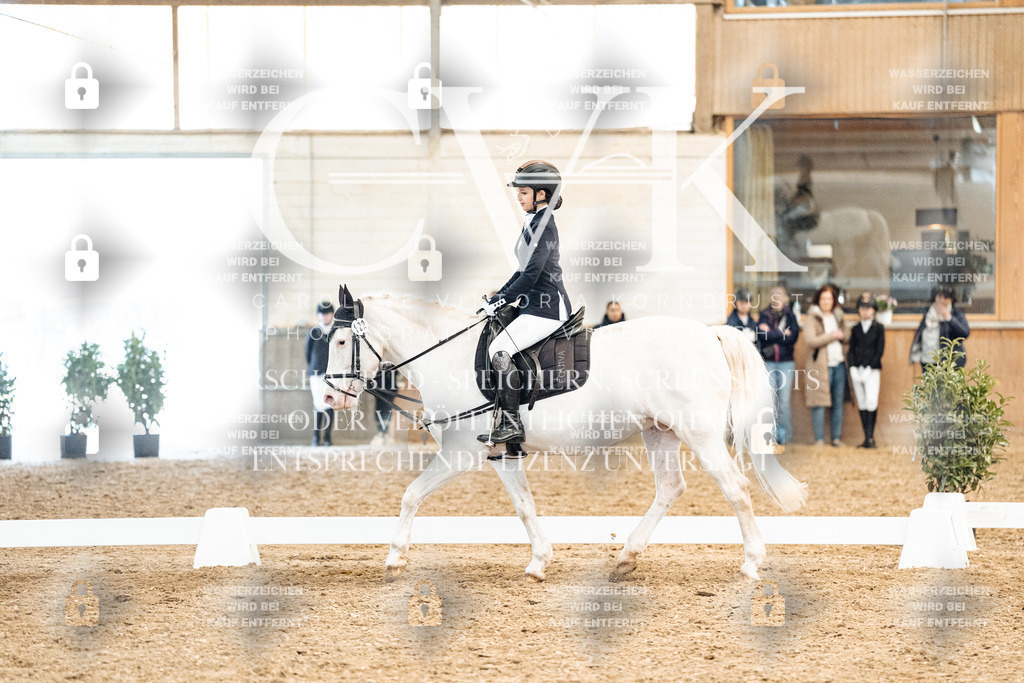 CK909962 | Turnierfotografie Pferdefotografie Trier Rheinland-Pfalz Pferdesport Reitsport Tierfotografie Sportfotografie Pferdevideo Pferdevideografie Equestrianvideography equestrianphotography  - Realized with Pictrs.com