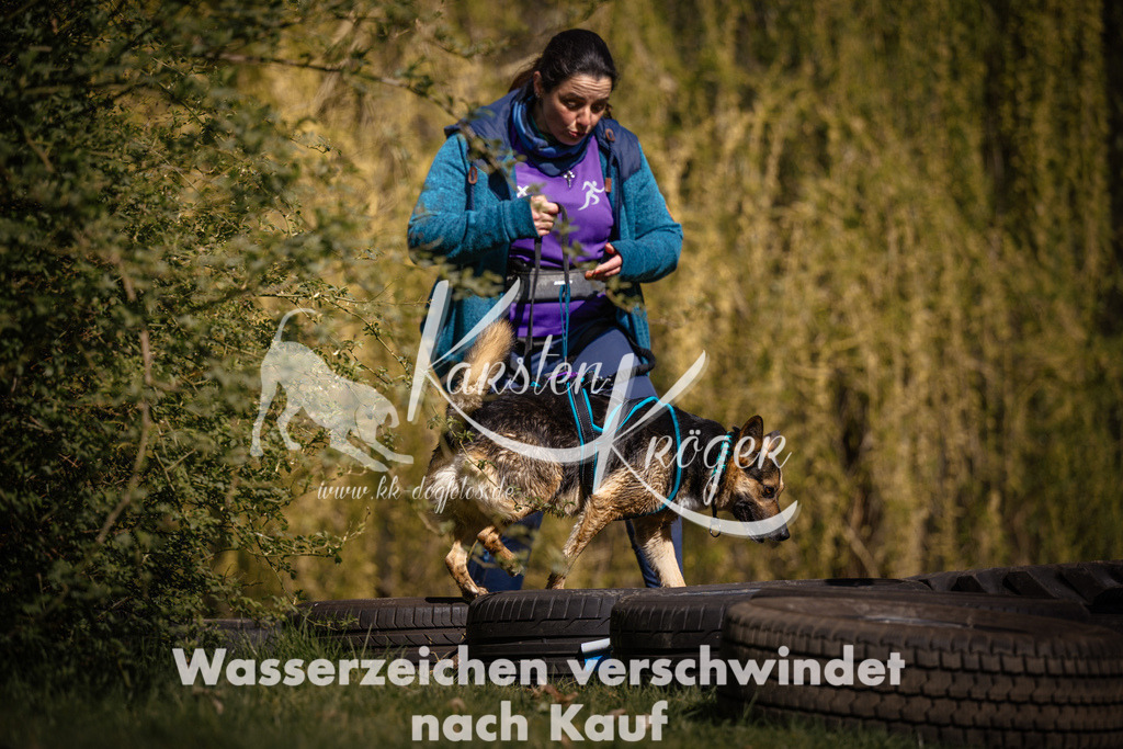 1041_ZZ98693 | kk-dogfotos