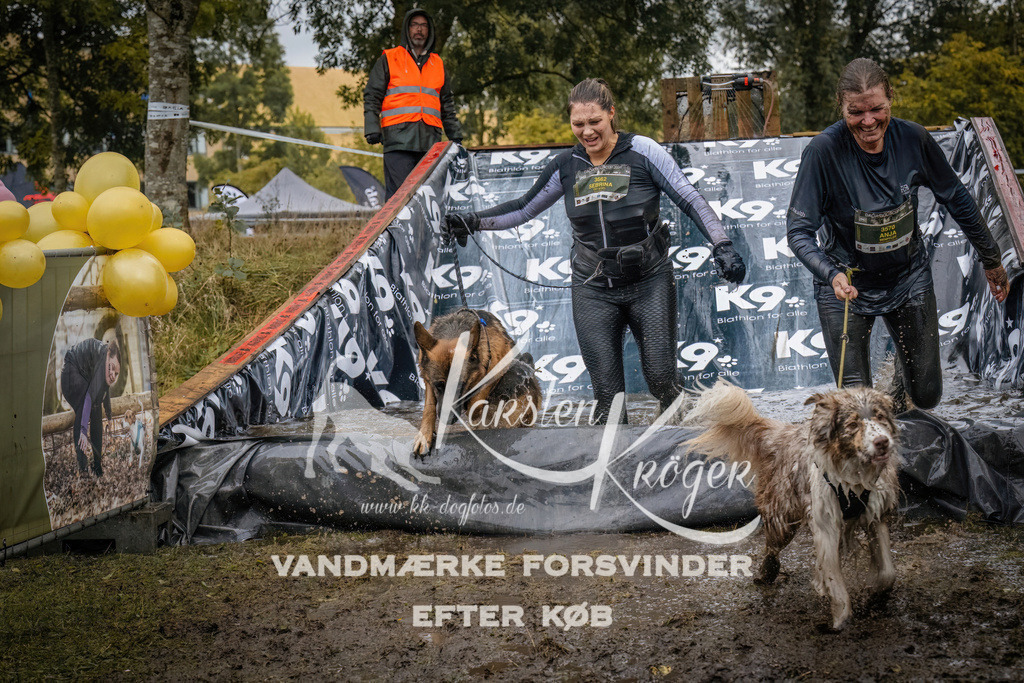 1244_ZZ90467 | kk-dogfotos