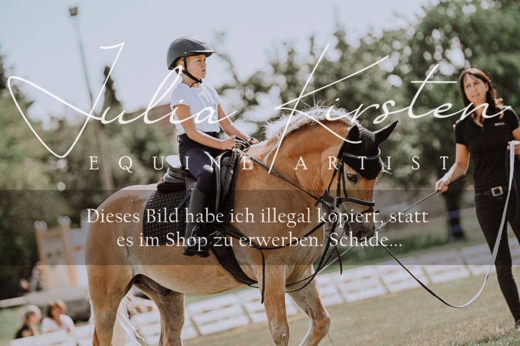 DSC_7654 | Pferde- und Turnierfotografie in Westsachsen. Pferdeportraits, Auftragszeichnungen und intuitive Kunst.