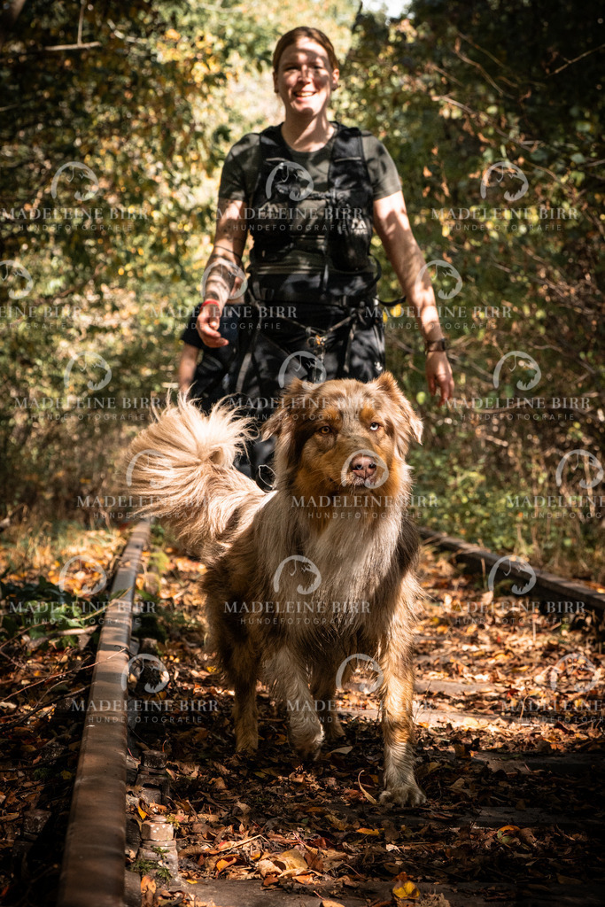 madeleinebirr.fotografie.2026.cc.hunsrueck.12-13Uhr.55 | hundefotografie-birr