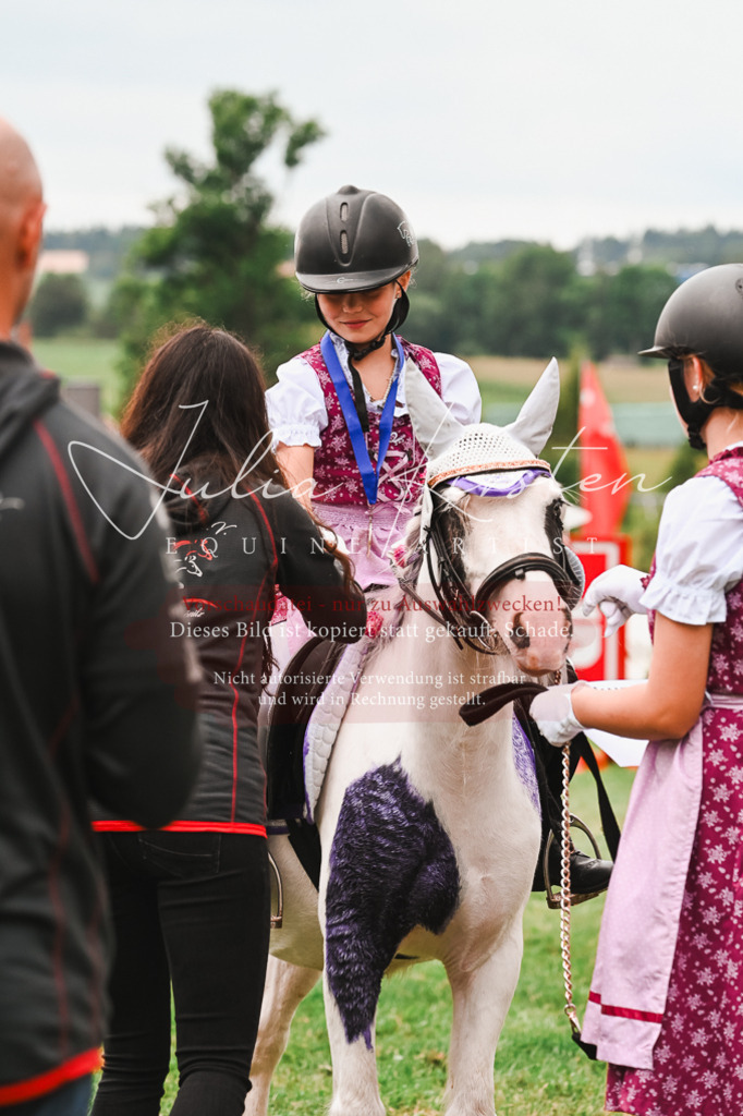 DSC_7478 | Pferde- und Turnierfotografie in Westsachsen. Pferdeportraits, Auftragszeichnungen und intuitive Kunst.