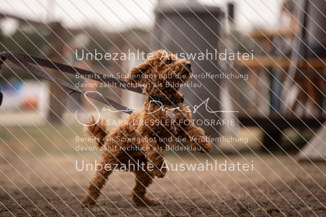 LR262_SD_01645 | saradresslerfotografie - Realisiert mit Pictrs.com