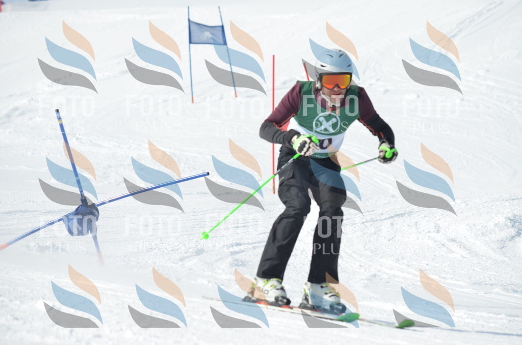 D9009 | holidayphoto