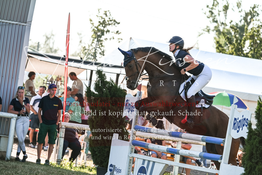 DSC_2919 | Pferde- und Turnierfotografie in Westsachsen. Pferdeportraits, Auftragszeichnungen und intuitive Kunst.