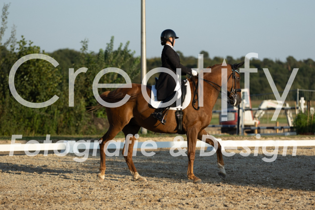 IMG_7189 | Creatify Fotografie