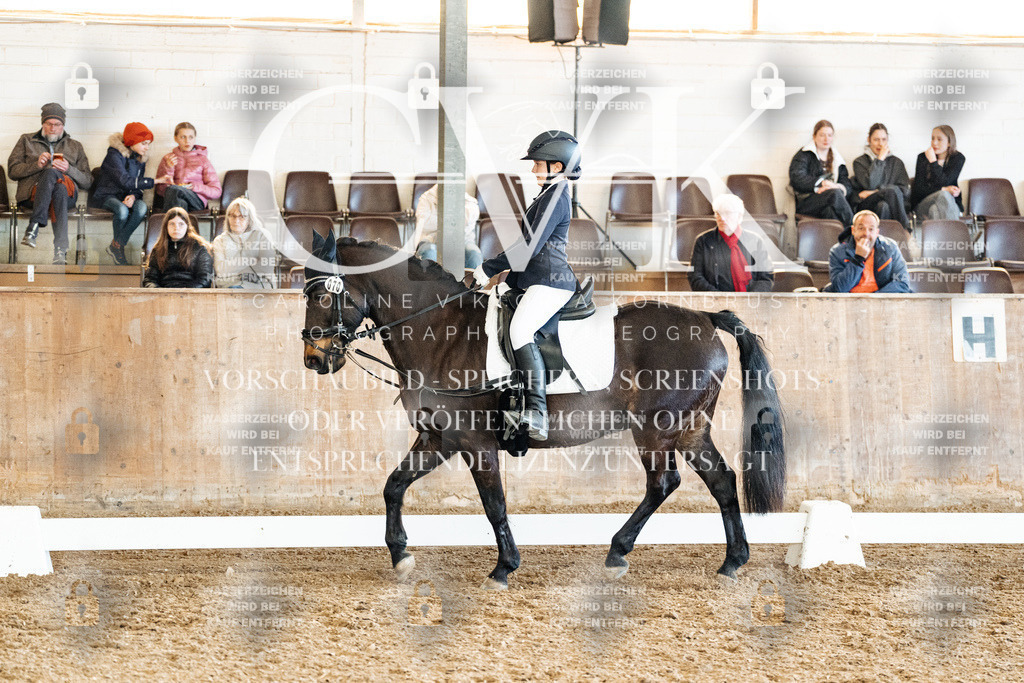 CK900288 | Turnierfotografie Pferdefotografie Trier Rheinland-Pfalz Pferdesport Reitsport Tierfotografie Sportfotografie Pferdevideo Pferdevideografie Equestrianvideography equestrianphotography  - Realisiert mit Pictrs.com