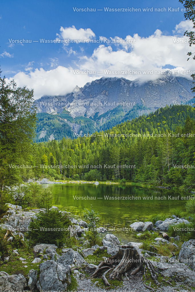 JW0A3062 | #Grafikstudio Simplex #Fotos Juri Anikanov #Eventfotos #Grafiker #Fotograf #Eventfotograf #Fotograf Lauf #Fotogalerie #Shop #Sportfotograf #Fotograf Lauf an der Pegnitz  #Fotograf Lauf - Realisiert mit Pictrs.com