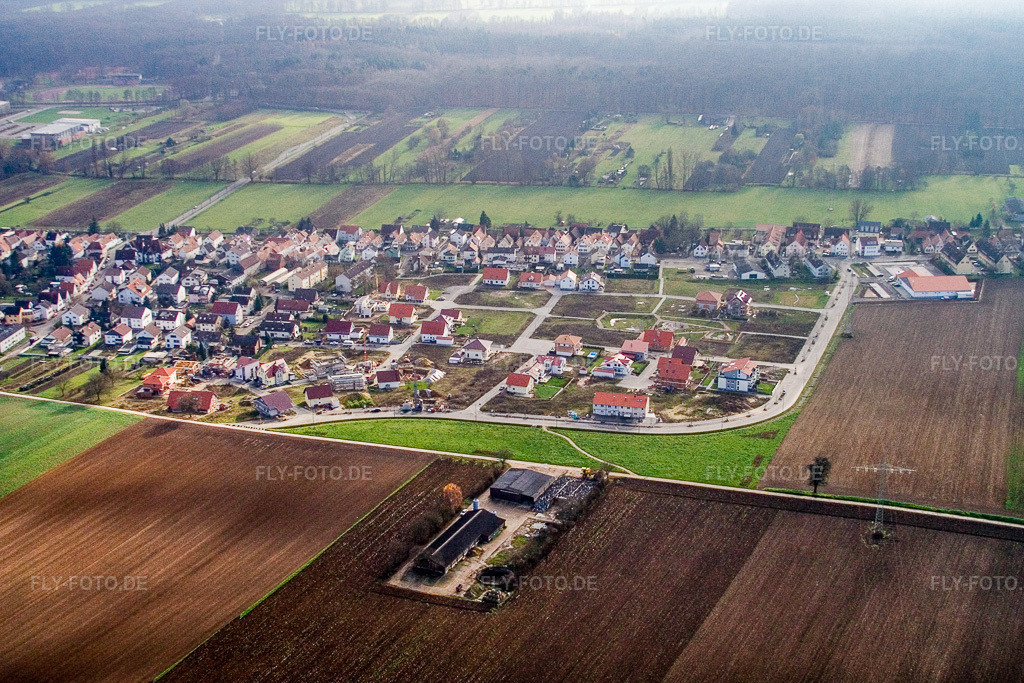 Luftbild: Am Höhenweg in Kandel im Bundesland Rheinland-Pfalz in Deutschland. Foto: IMG_14721.jpg vom 26.11.2008 durch Werner Riehm/FLY-FOTO.de