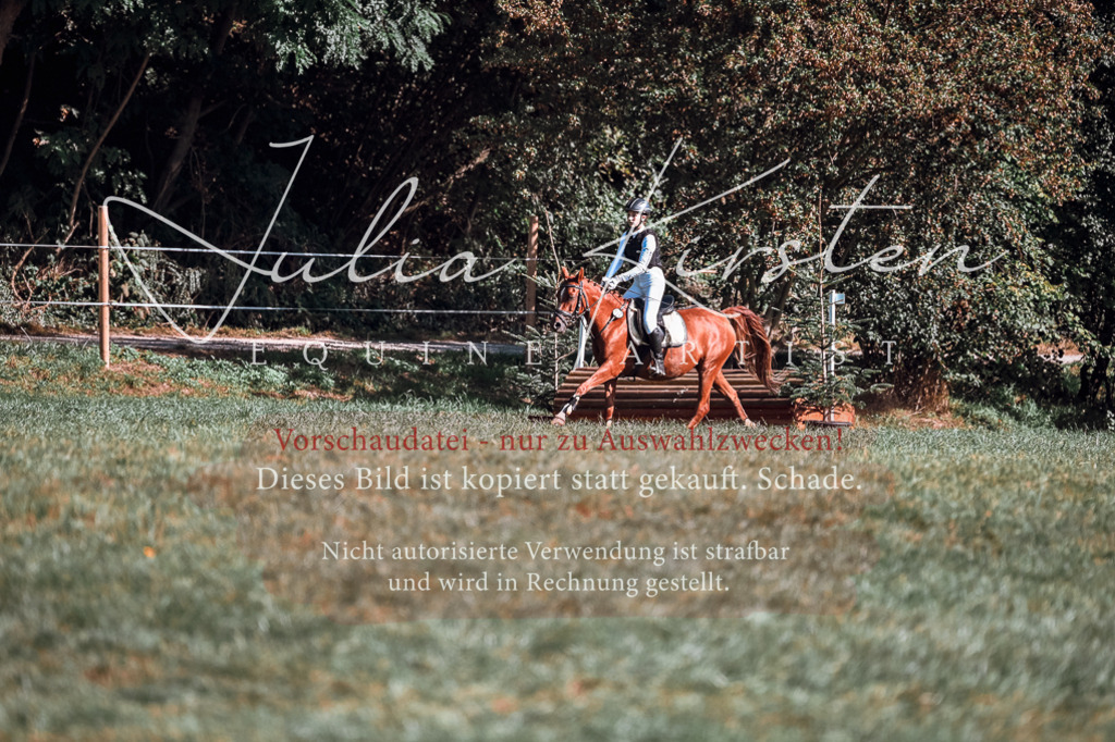 DSC_0882 | Pferde- und Turnierfotografie in Westsachsen. Pferdeportraits, Auftragszeichnungen und intuitive Kunst.