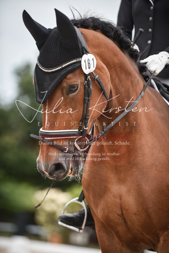 DSC_8253 | Pferde- und Turnierfotografie in Westsachsen. Pferdeportraits, Auftragszeichnungen und intuitive Kunst.