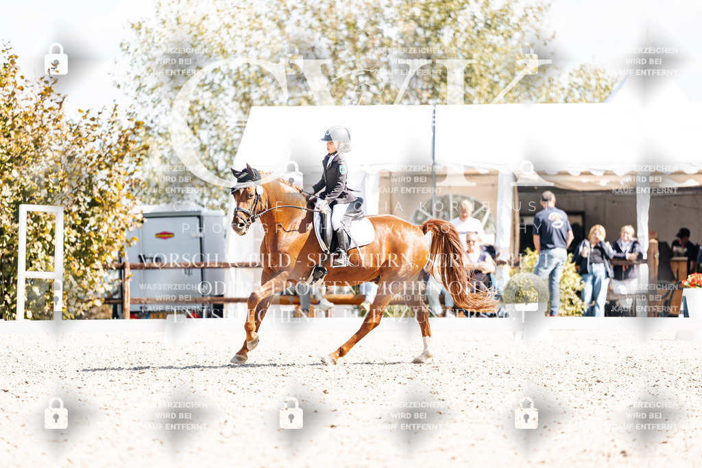 CK903086 | Turnierfotografie Pferdefotografie Trier Rheinland-Pfalz Pferdesport Reitsport Tierfotografie Sportfotografie Pferdevideo Pferdevideografie Equestrianvideography equestrianphotography  - Realisiert mit Pictrs.com