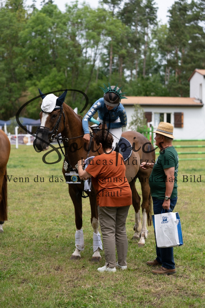 A7V07121 | Pferdefotograf