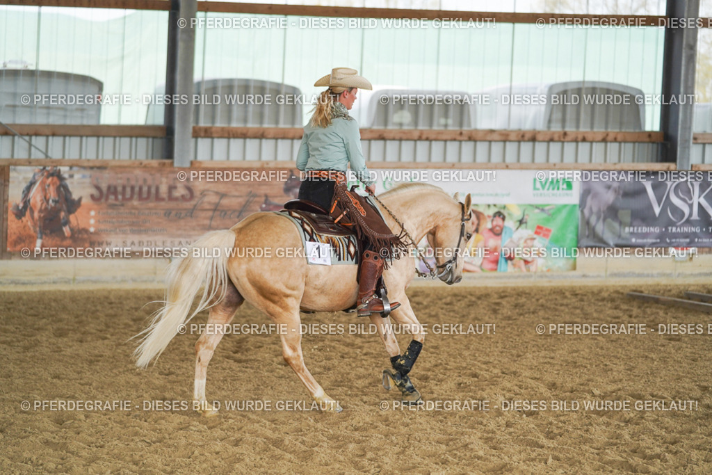 DSC01145 | Pferdegrafie