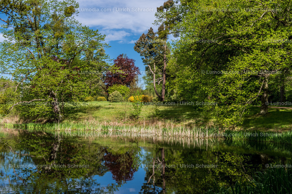 10049-3847 - Landschaftspark Degenershausen | Stockfoto und Bilderpool mit Bildmaterial aus Deutschland, dem Harz, Halberstadt, Quedlinburg, Wernigerode und weltweit. Qualitativ hochwertige und professionelle Fotos anschauen und kaufen. - Realisiert mit Pictrs.com