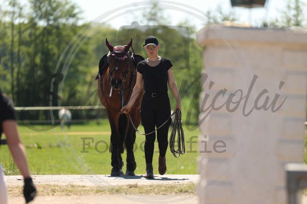 994A5779 | sabrinanicolaifotografie - Realisiert mit Pictrs.com