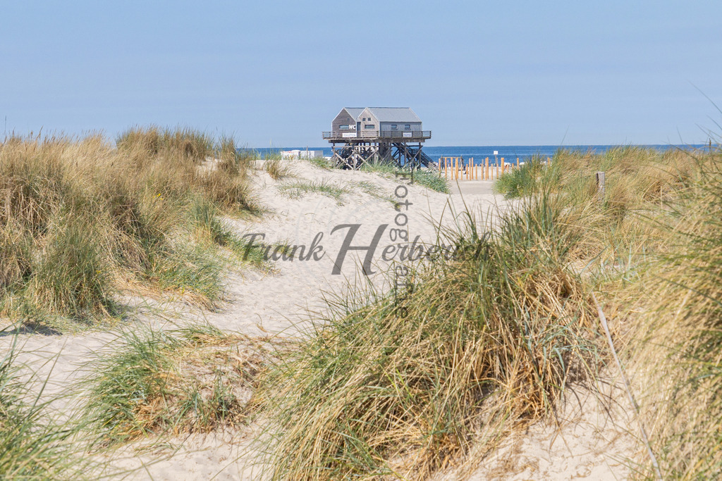 _X0A1481 | Frank Herberich Fotografie, Frank Herberich, Fotografie, Hochzeit, Portrait, St. Peter Ording, Ording, Westerhever, Nordsee, Frank Fotografie, Hardheim,  Odenwald,Walldürn, Band,Eventfotografie - Realisiert mit Pictrs.com
