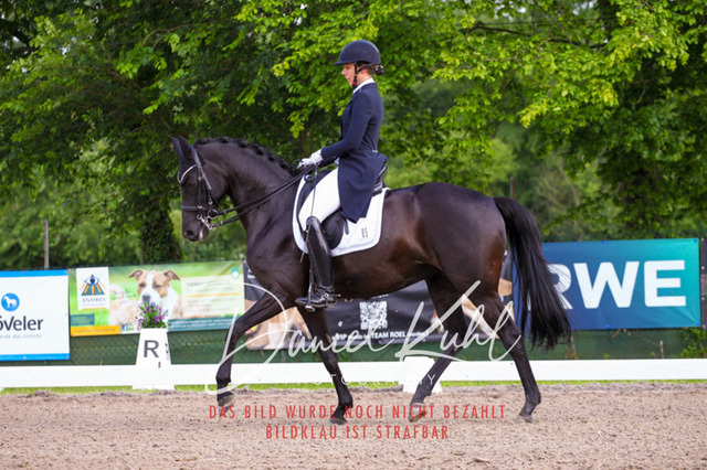 DKP41677 | Deine Turnierfotos vom Reitturnier online kaufen: Dressur, Springen & Siegerehrung. Professionelle Pferdefotografie aus dem Rheinland – als Download & Print.Alternative: Turnierfotograf für den Pferdesport: Finde deine Fotos von Dressur- und Springturnier